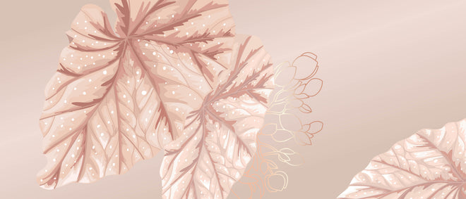 Küchenrückwand - Design Blüten Blatt Illustration Beige