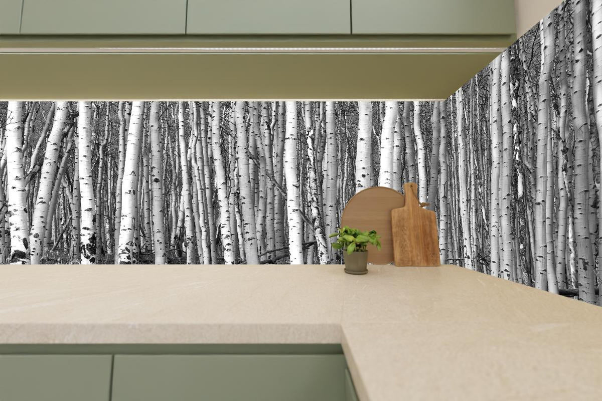 Küchenrückwand - Detaillierte Schwarz-Weiß Baumsilhouetten