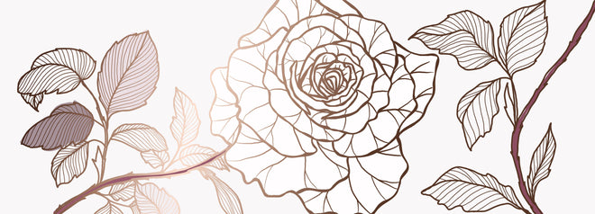 Küchenrückwand - Elegante Linienzeichnung einer Rose