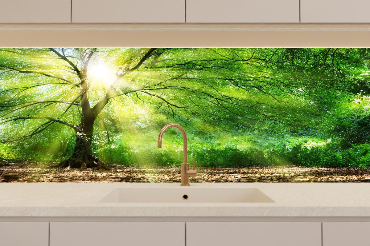 Küchenrückwand - Energiegeladener Wald