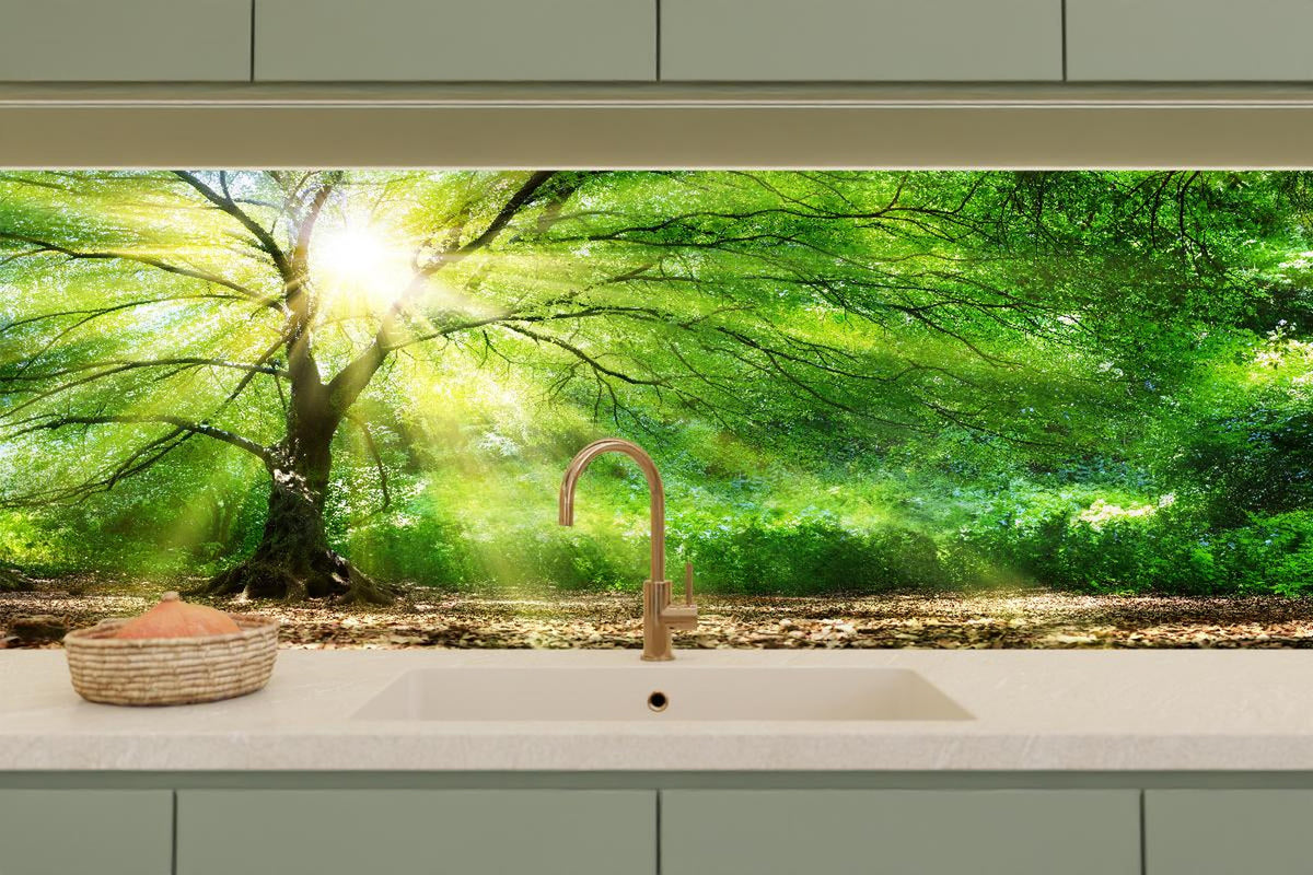 Küchenrückwand - Energiegeladener Wald