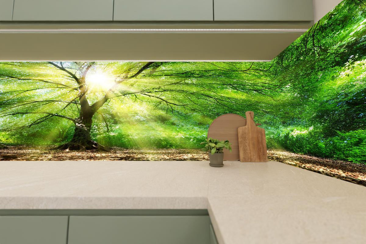 Küchenrückwand - Energiegeladener Wald