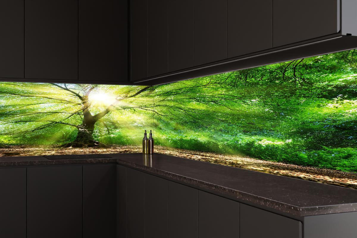 Küchenrückwand - Energiegeladener Wald