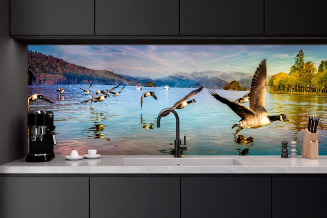 Küchenrückwand - Entenschwarm am Lake Windermere