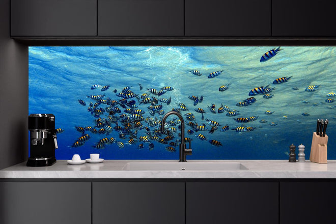Küchenrückwand - Fische im klarem Meer