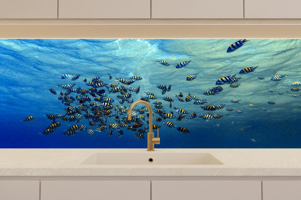 Küchenrückwand - Fische im klarem Meer