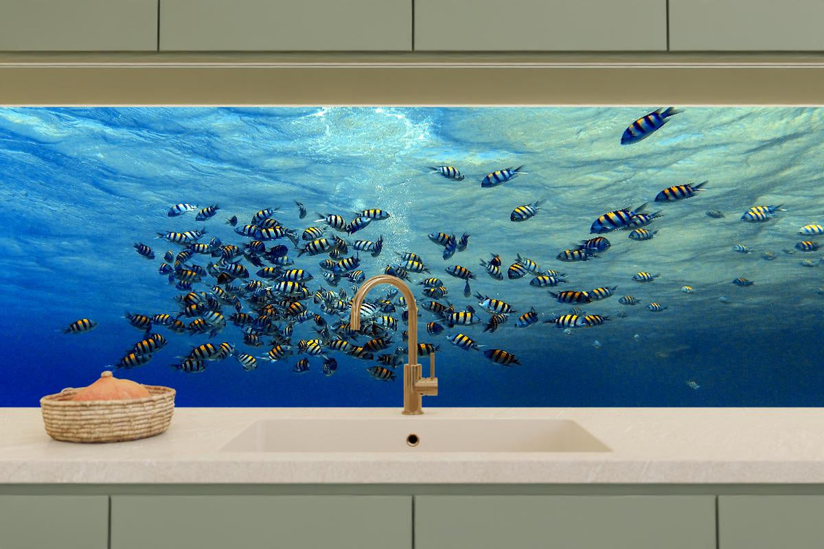 Küchenrückwand - Fische im klarem Meer