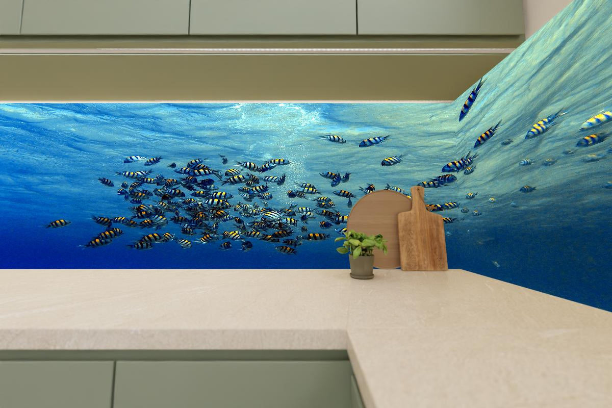 Küchenrückwand - Fische im klarem Meer