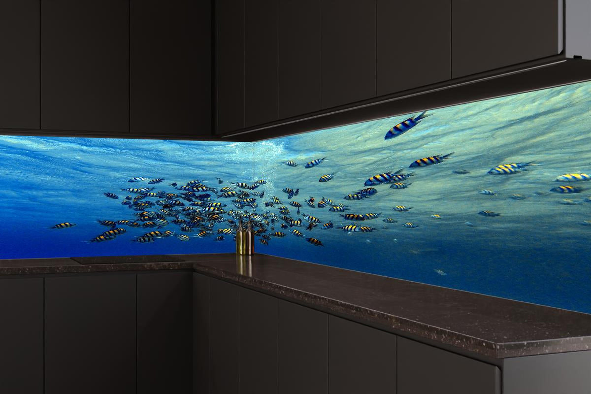 Küchenrückwand - Fische im klarem Meer