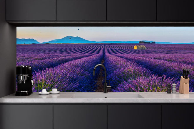 Küchenrückwand - Französische Lavendelfelder