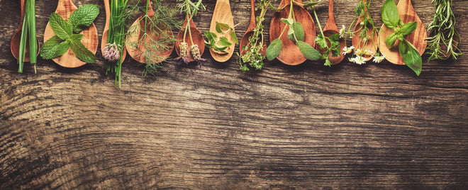 Küchenrückwand - Frische Kräuter auf Holzplatte