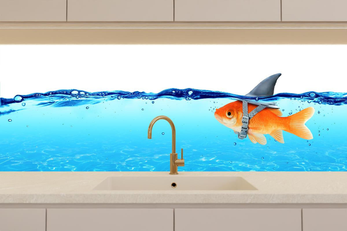 Küchenrückwand - Goldfisch als Hai