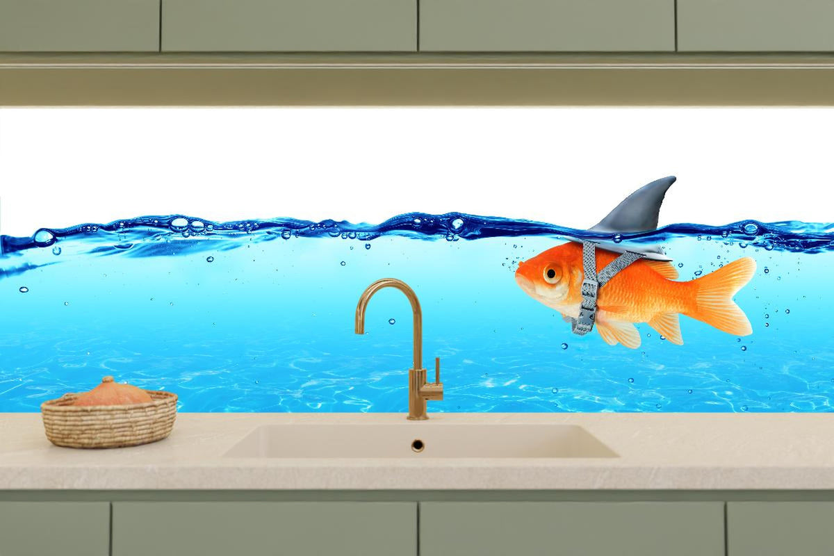 Küchenrückwand - Goldfisch als Hai