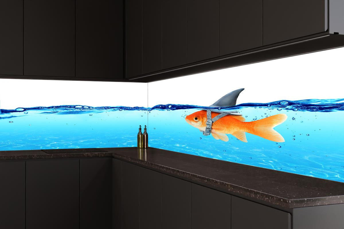 Küchenrückwand - Goldfisch als Hai