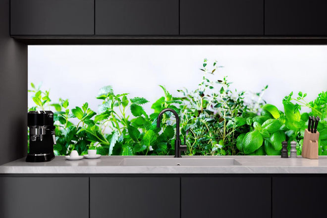 Küchenrückwand - Grüne frische Kräuter