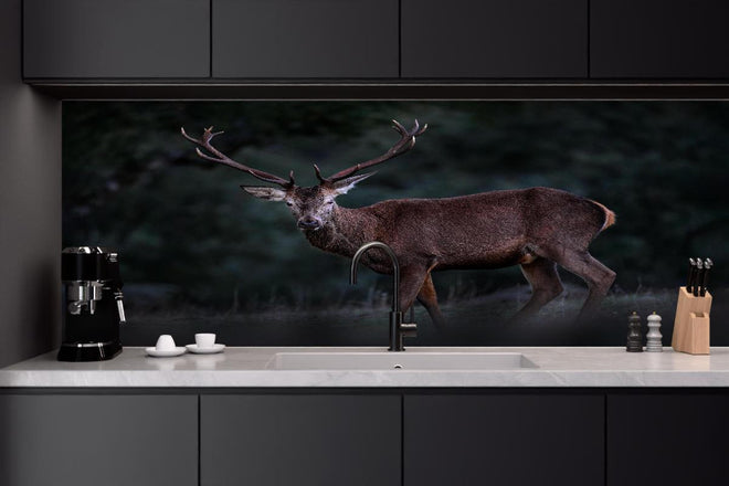 Küchenrückwand - Hirsche Gebirge Sierra de Andujar