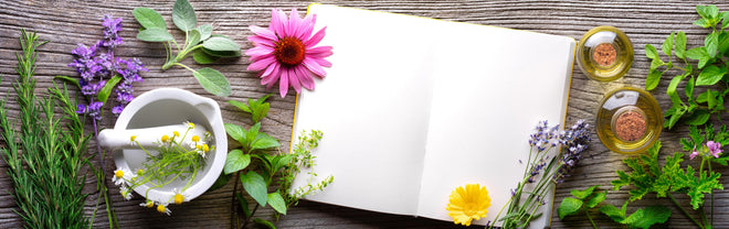 Küchenrückwand - Kräuter & Blumen