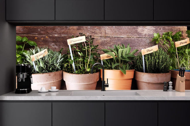 Küchenrückwand - Küchenkräuter in Tontöpfen