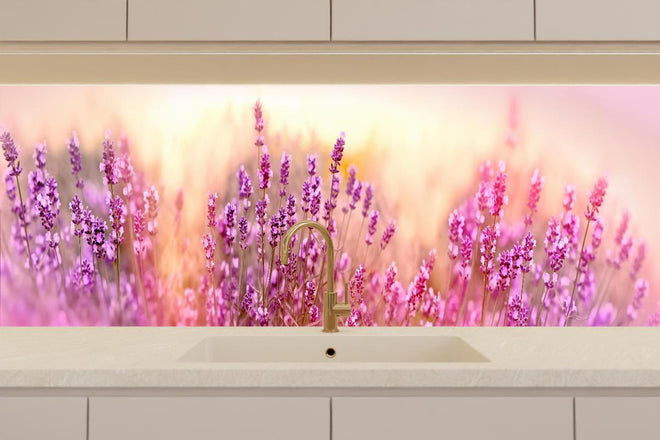 Küchenrückwand - Weicher und selektiver Fokus auf Lavendelblüte