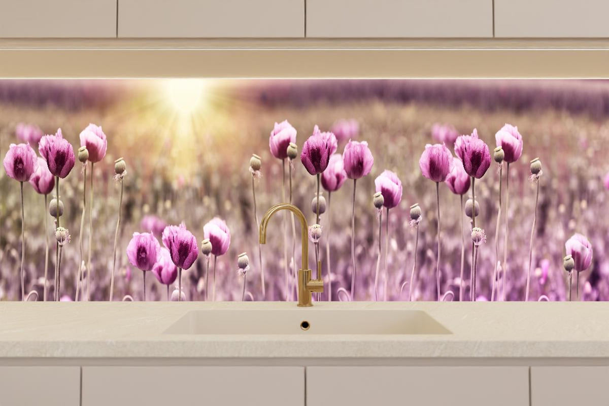 Küchenrückwand - Lila Mohnblume