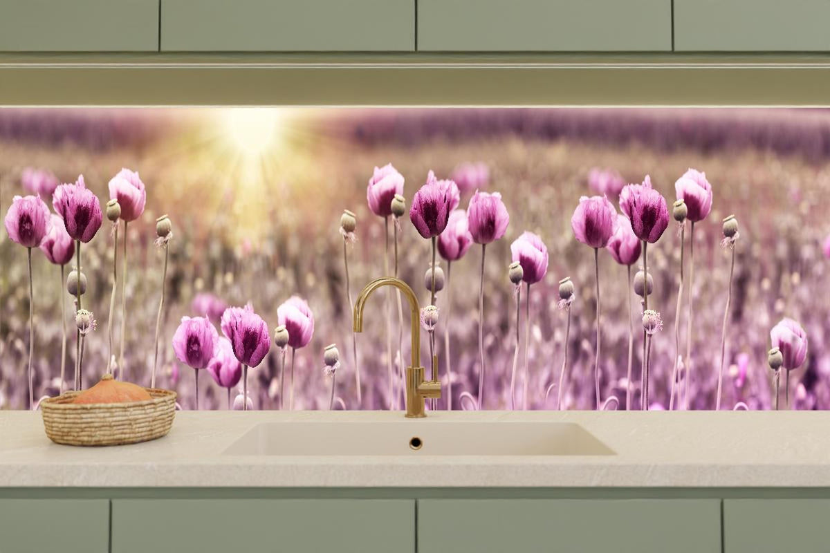 Küchenrückwand - Lila Mohnblume