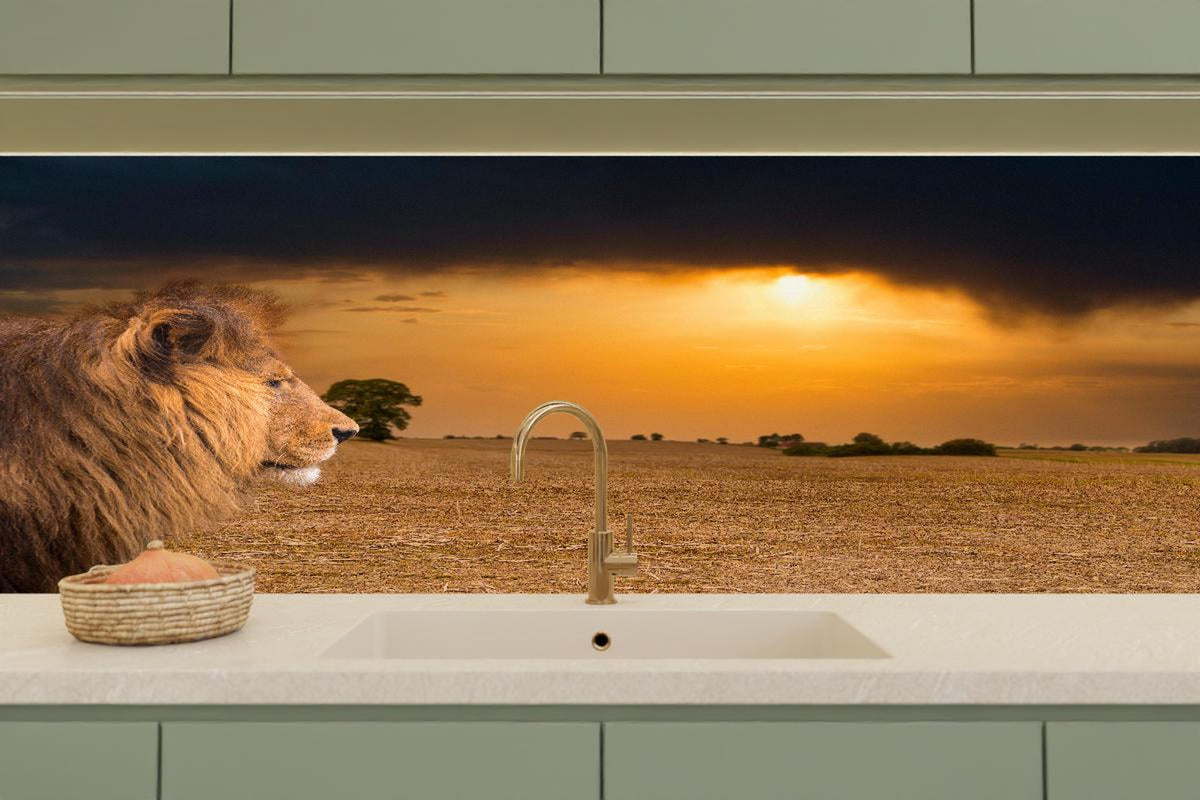 Küchenrückwand - Löwe in Steppe im Sonnenuntergang
