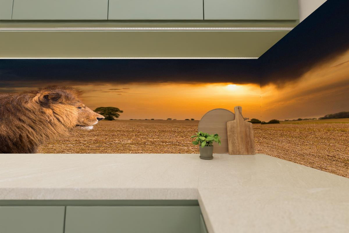 Küchenrückwand - Löwe in Steppe im Sonnenuntergang