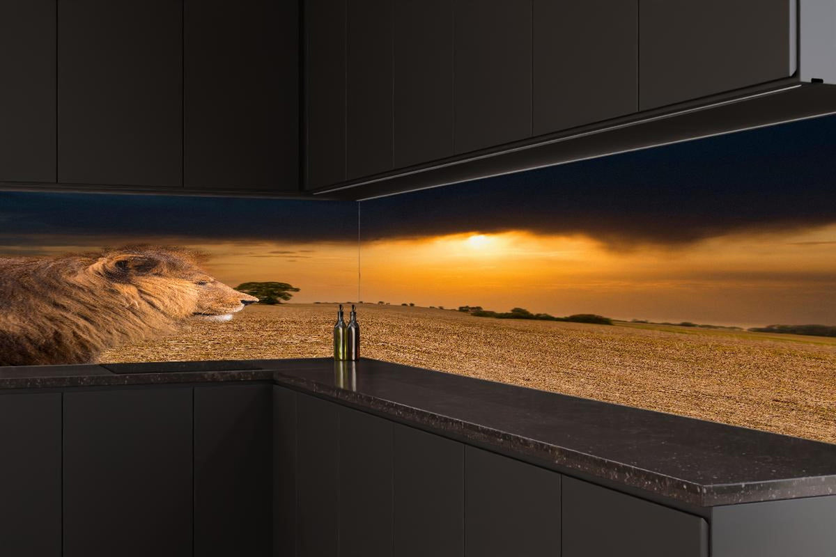 Küchenrückwand - Löwe in Steppe im Sonnenuntergang