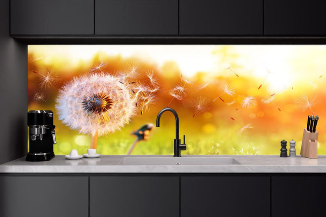 Küchenrückwand - Löwenzahn im Feld bei Sonnenuntergang