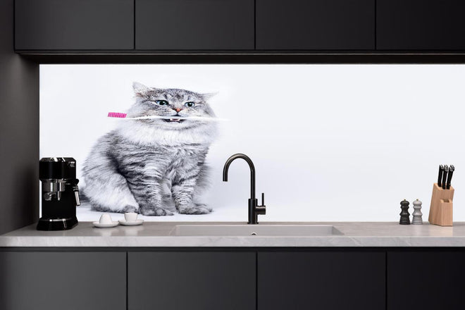 Küchenrückwand - Lustige Katze mit Zahnbürste