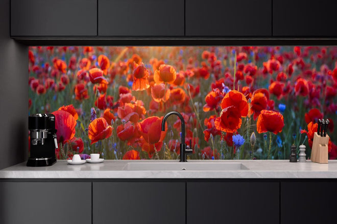 Küchenrückwand - Mohnwiese im Licht der untergehenden Sonne
