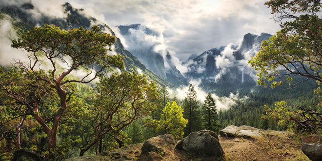 Küchenrückwand - Nationalpark - Kalifornien, USA