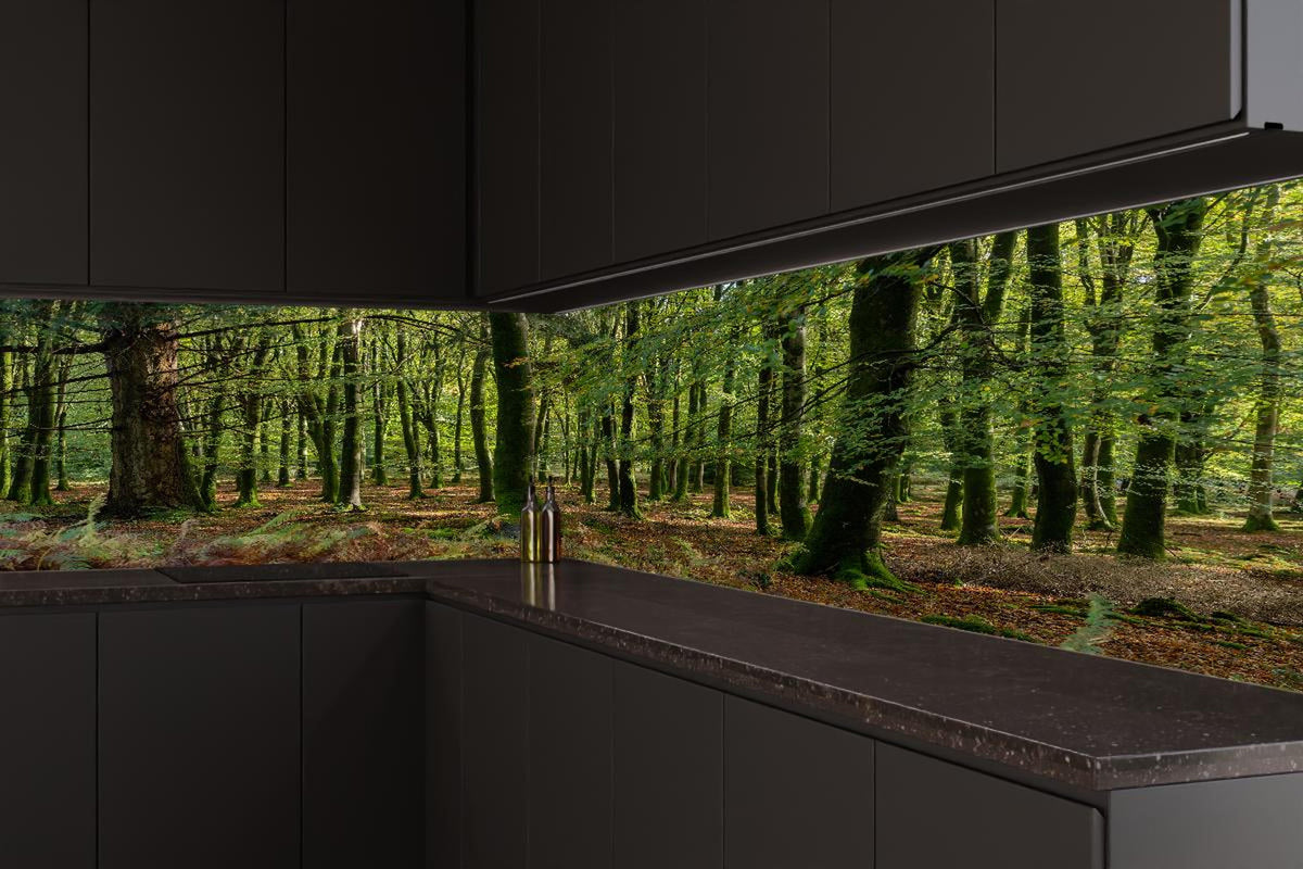 Küchenrückwand - Natürliches Waldpanorama in Grün