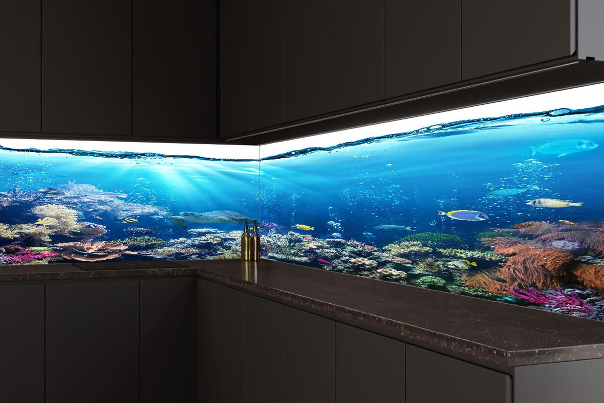Küchenrückwand - Ozeantiere - Unterwasser