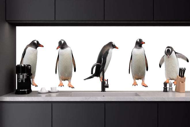 Küchenrückwand - Pinguine auf weißem Hintergrund