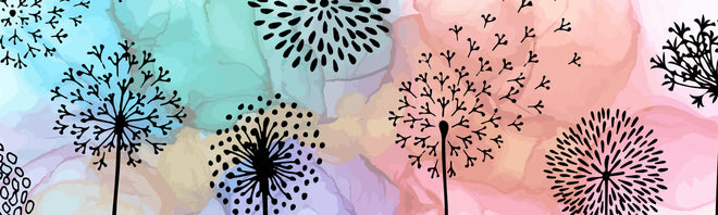 Küchenrückwand - Pusteblume Aquarell