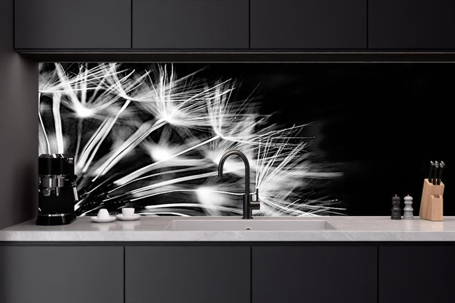 Küchenrückwand - Pusteblumen schwarz-weiß Hintergrund