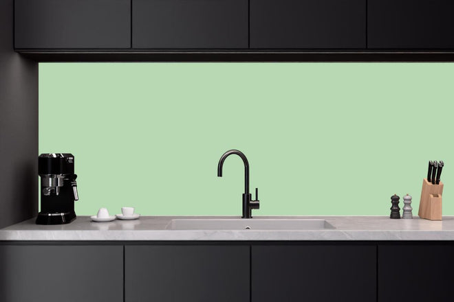 Küchenrückwand - RAL 6019 (pastellgrün)
