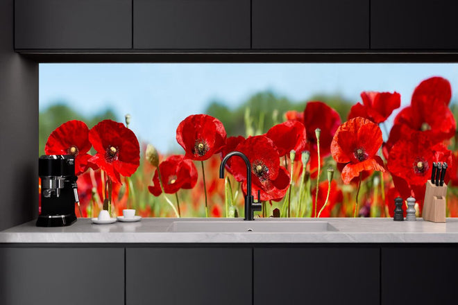 Küchenrückwand - Rote Mohnblumen auf einem Feld