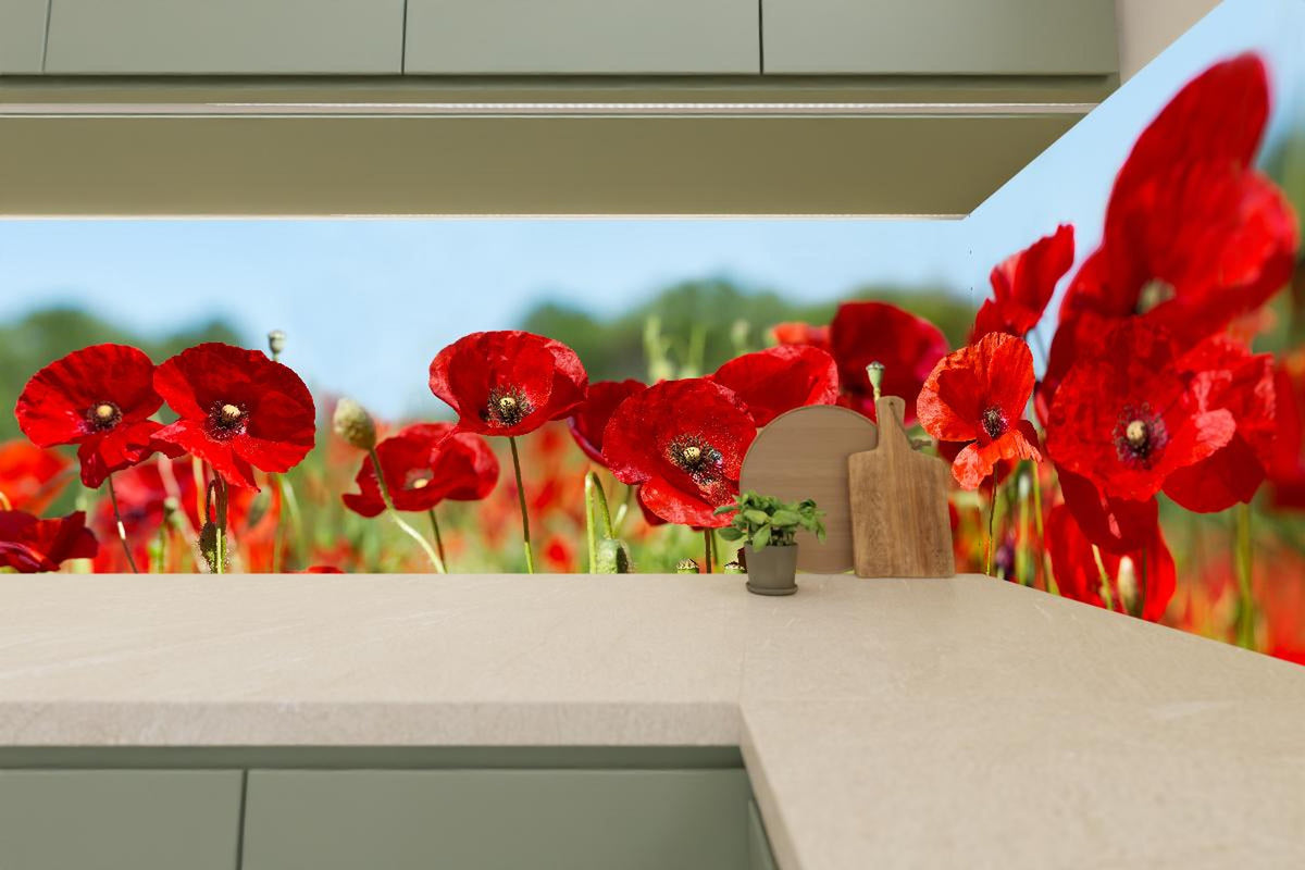 Küchenrückwand - Rote Mohnblumen auf einem Feld