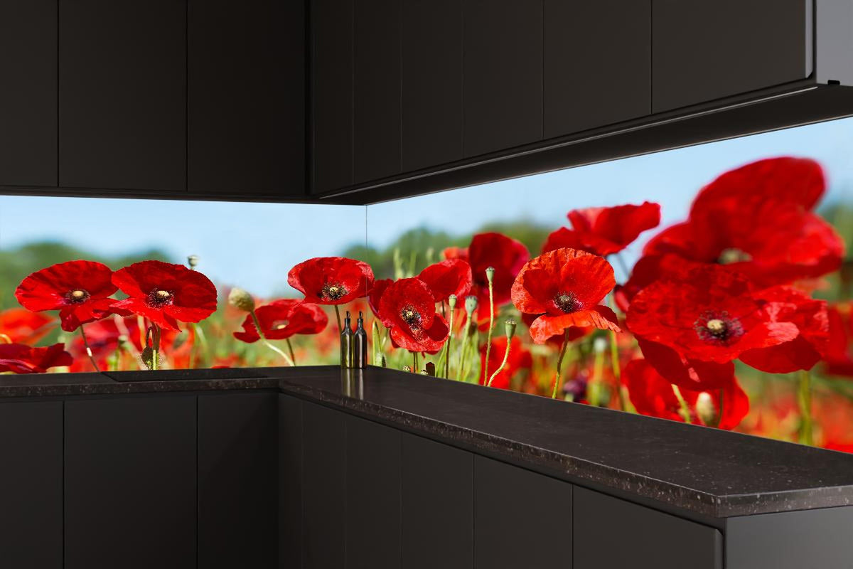 Küchenrückwand - Rote Mohnblumen auf einem Feld