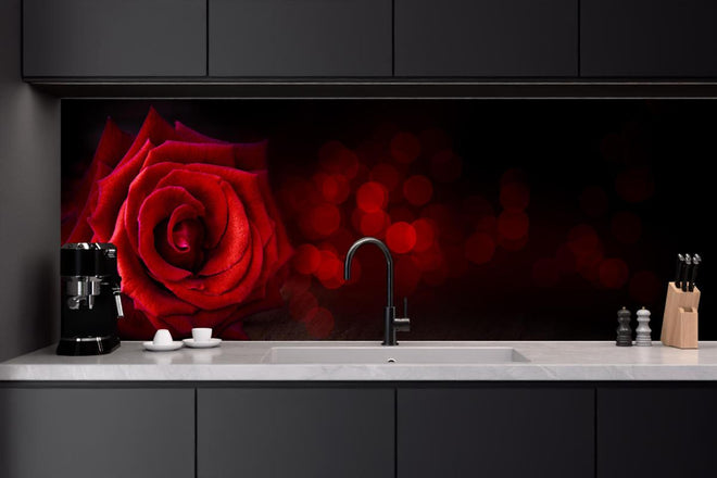 Küchenrückwand - Rote Rose auf schwarzem Hintergrund