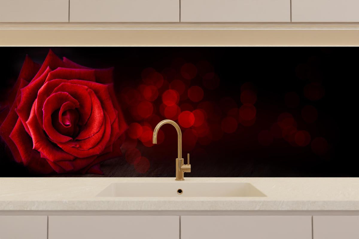 Küchenrückwand - Rote Rose auf schwarzem Hintergrund