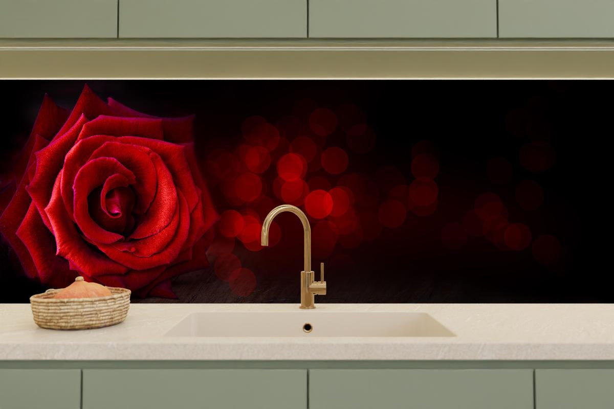 Küchenrückwand - Rote Rose auf schwarzem Hintergrund