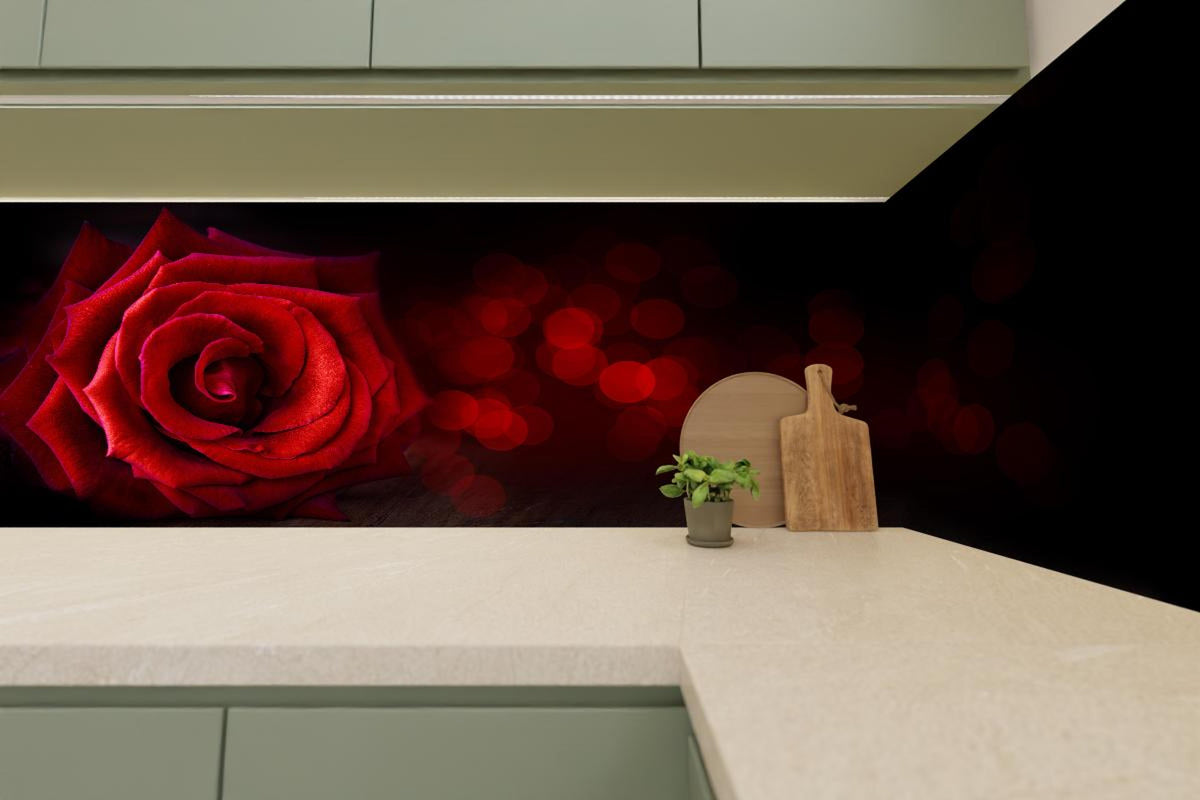 Küchenrückwand - Rote Rose auf schwarzem Hintergrund