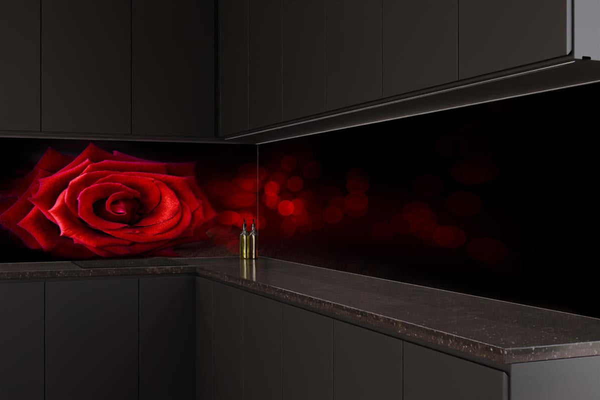 Küchenrückwand - Rote Rose auf schwarzem Hintergrund