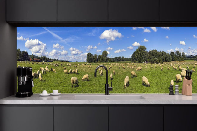 Küchenrückwand - Schafherde Panorama
