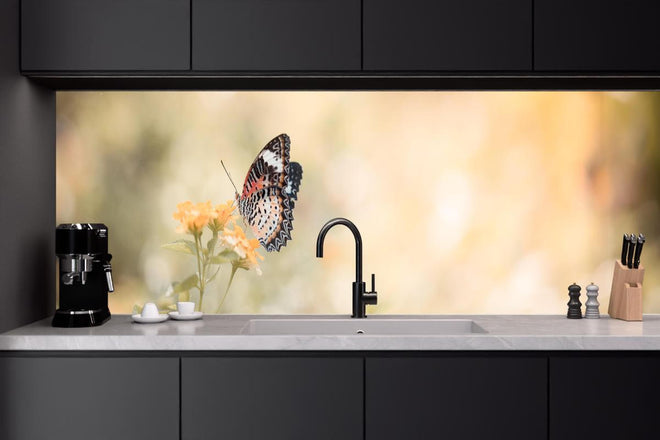 Küchenrückwand - Schmetterling auf eine orangene Blume
