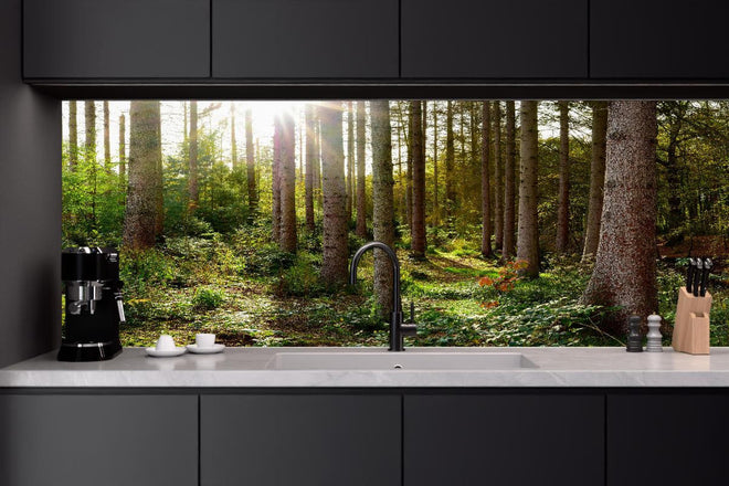 Küchenrückwand - Schöner Fichtenwald im Herbst