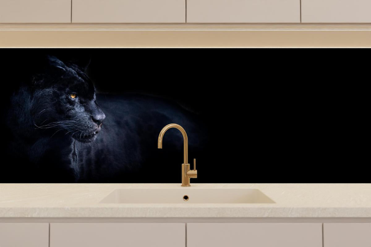 Küchenrückwand - Schwarzen Panther mit schwarzem Hintergrund